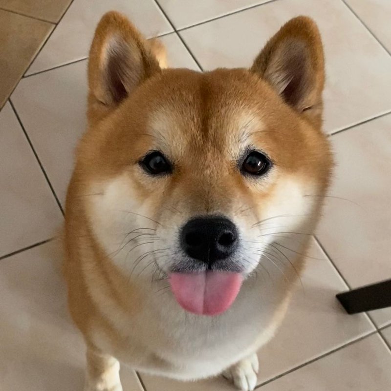 Hee Hin Kam