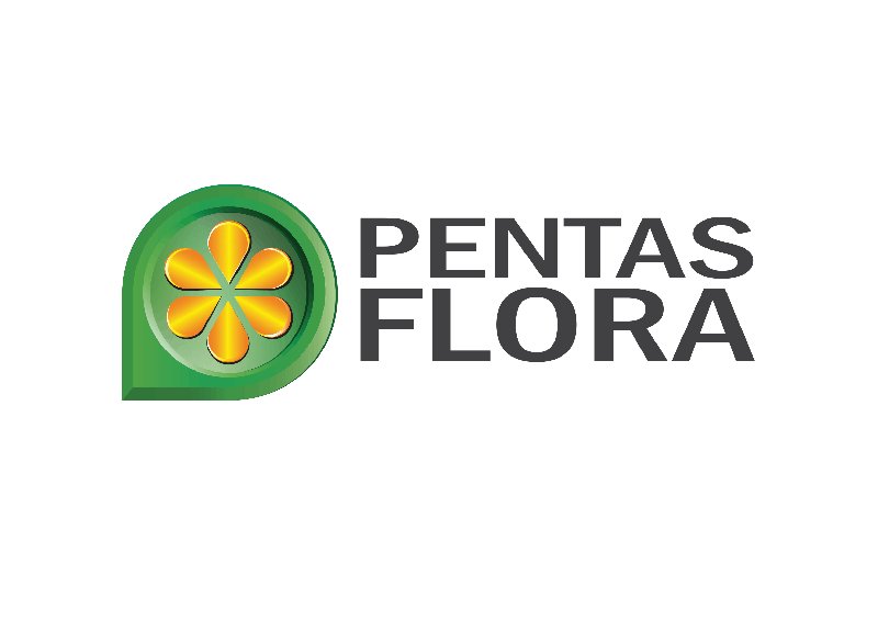 PENTAS FLORA