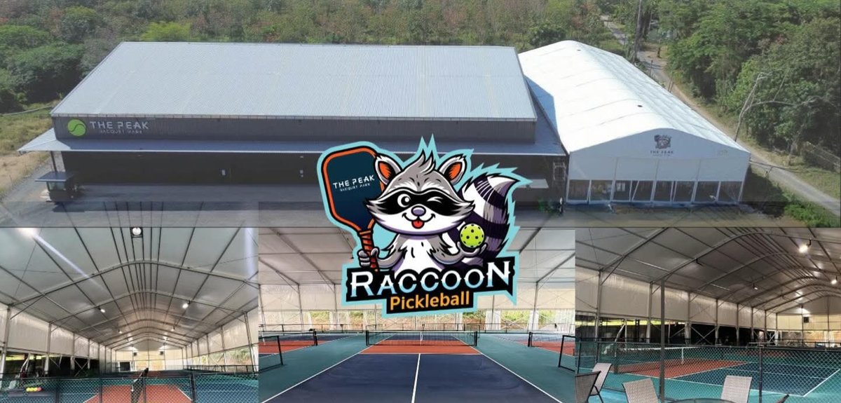 Raccoon Pickleball 